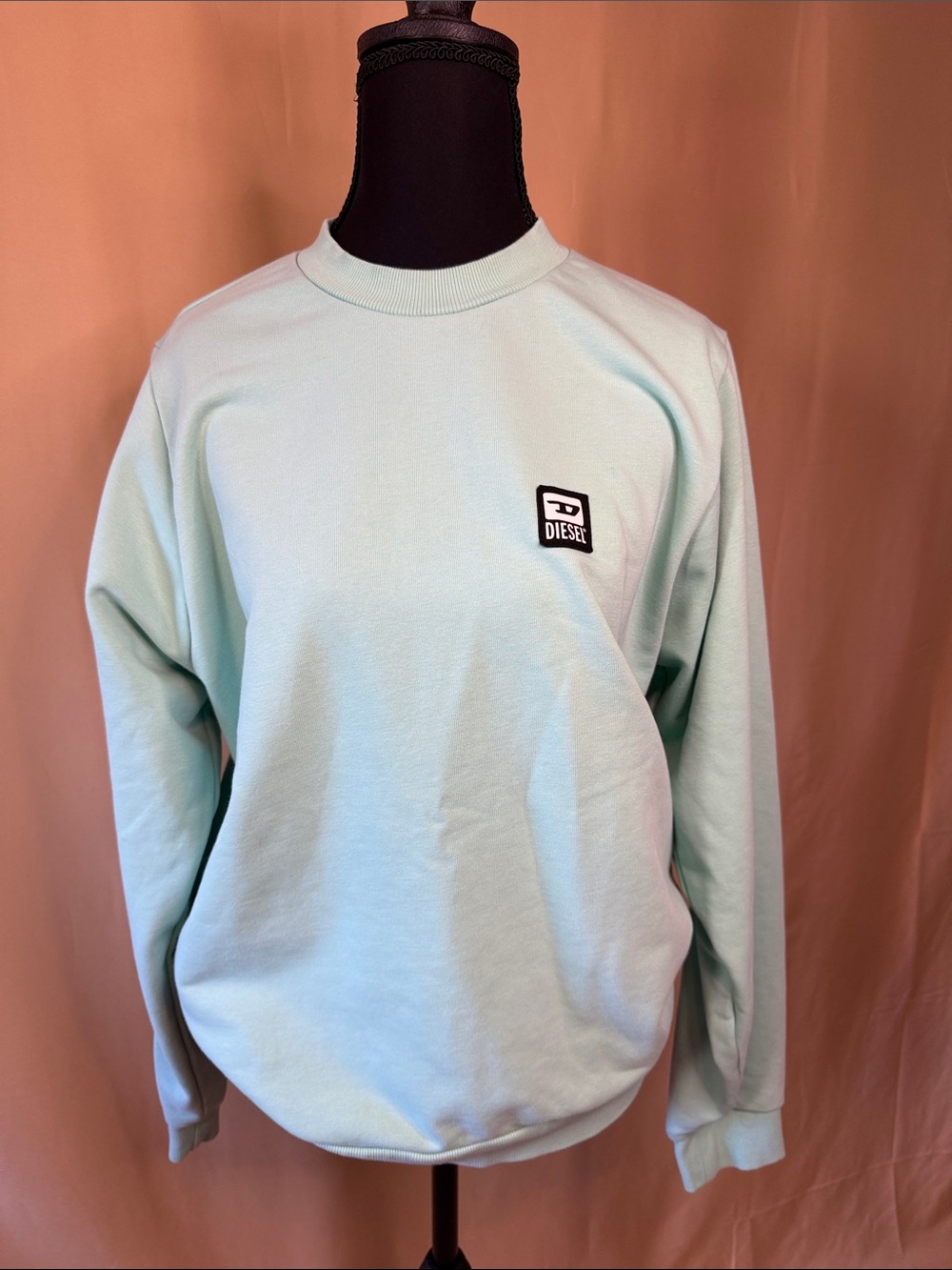Diesel Men's Crewneck Sweatshirt in Pale Mint